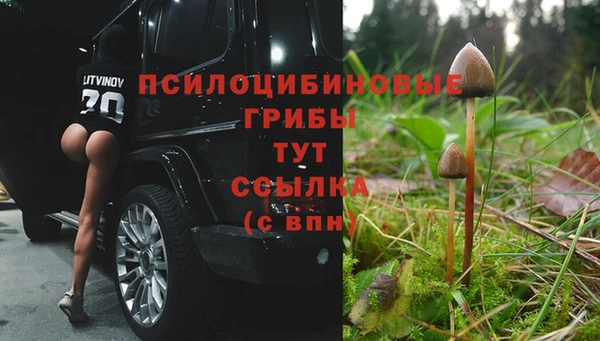 каннабис Армянск